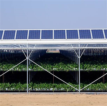 APPLICATION INDUSTRY-SOLAR AGRICULTUTAL GREENHOUSE