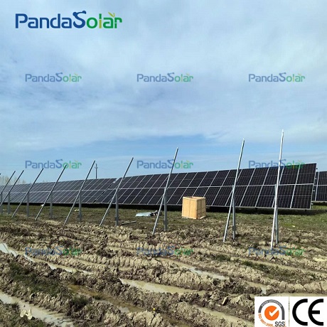 Installation Case | Pandasolar's 5 MW Ground Mounted Solar Project Is Under Construction Continuing Its Renewable Energy Push