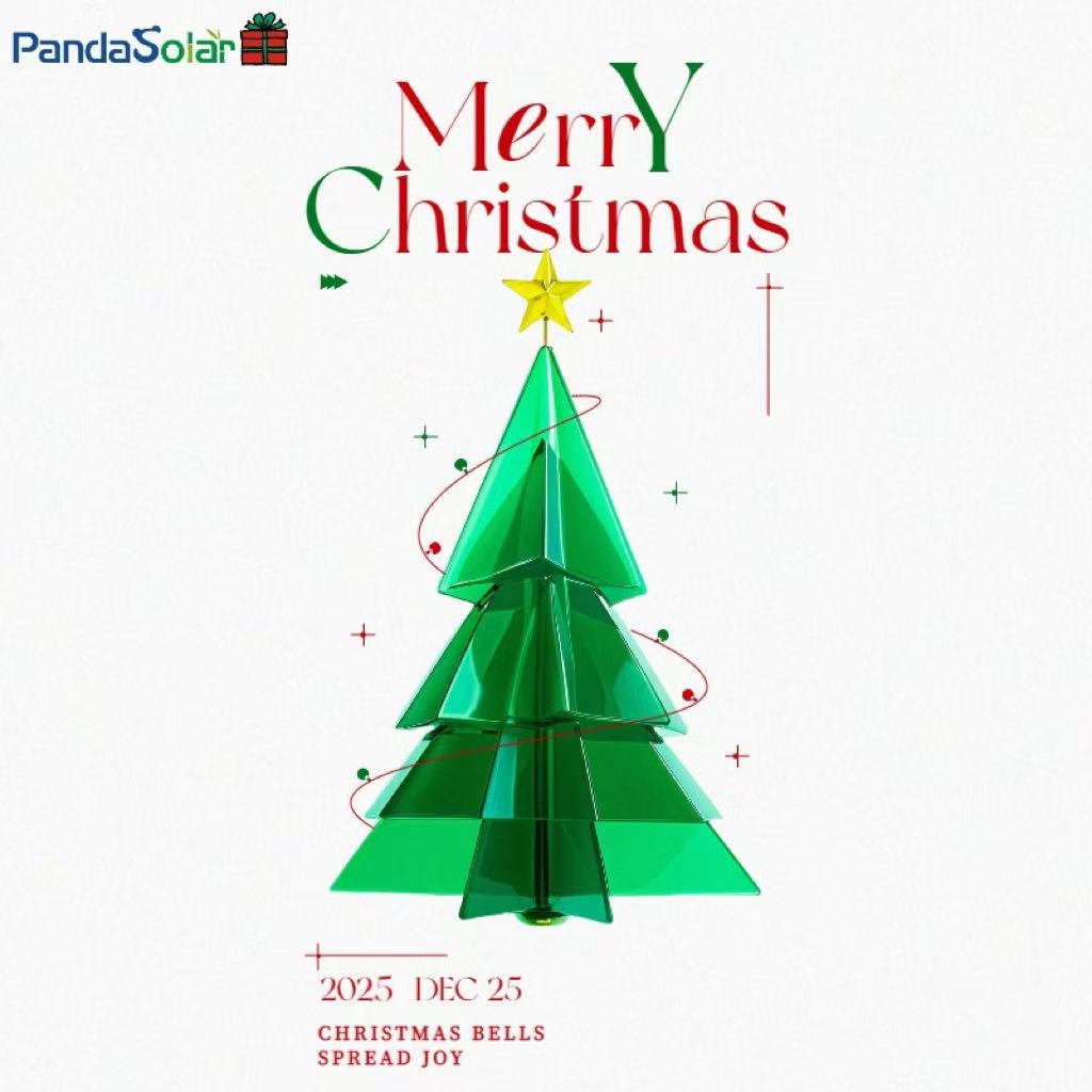 Team News | Year-End Team Building Trip to Xishuangbanna, Yunnan